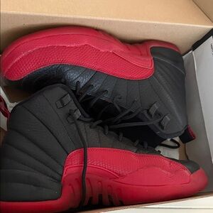 Jordan 12 flu game